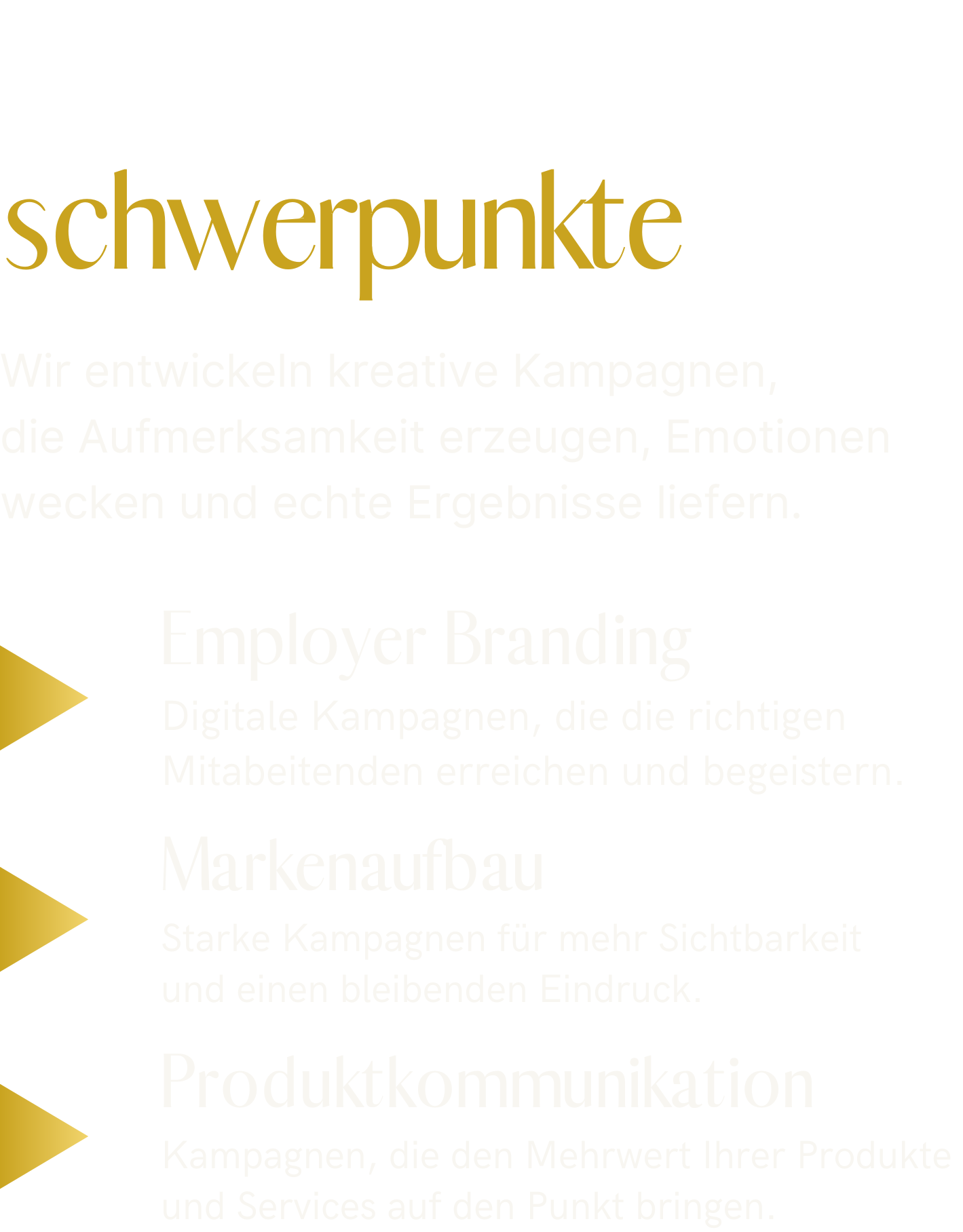 Kampagnen-schwerpunkte (1)